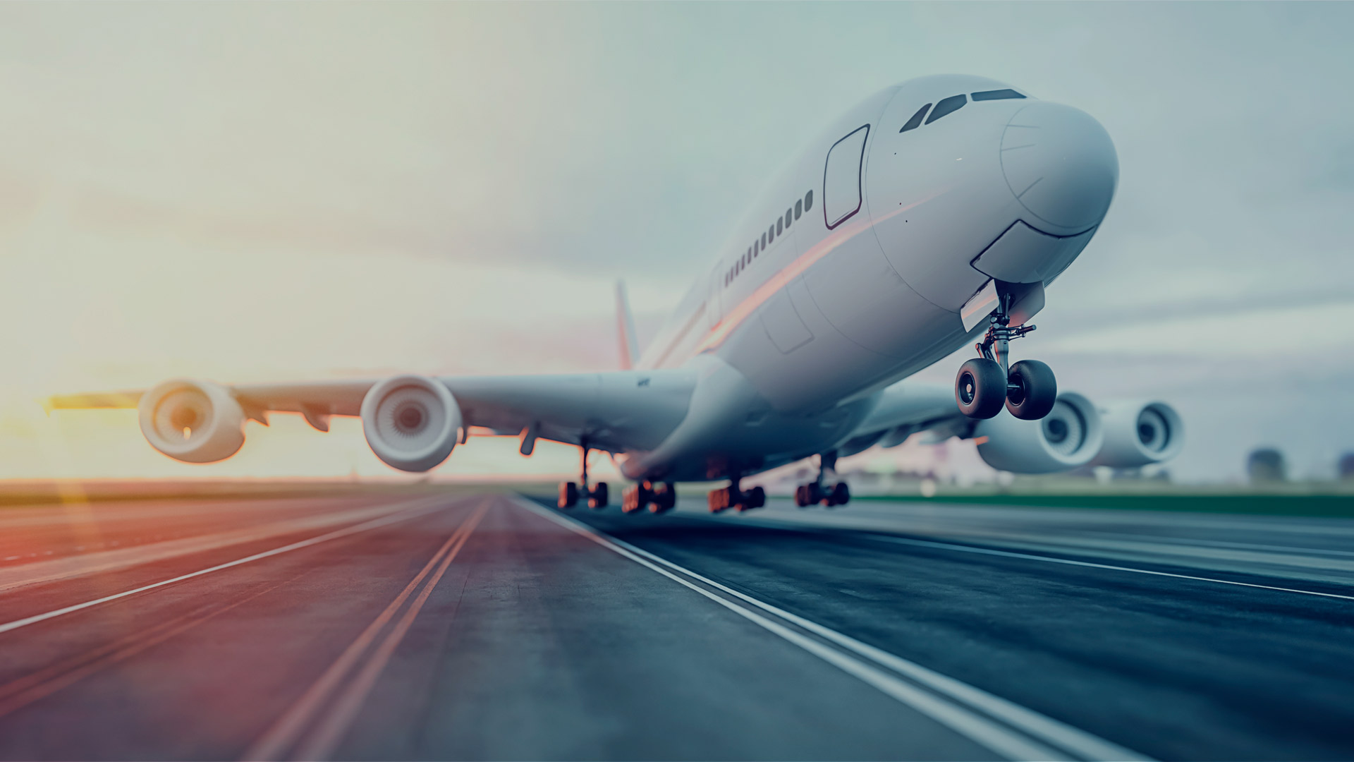 Sus productos en buenas manos